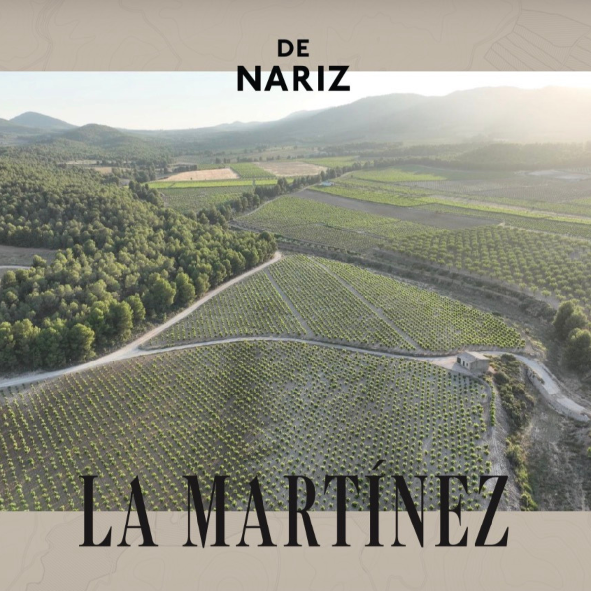 De Nariz La Martínez 2025