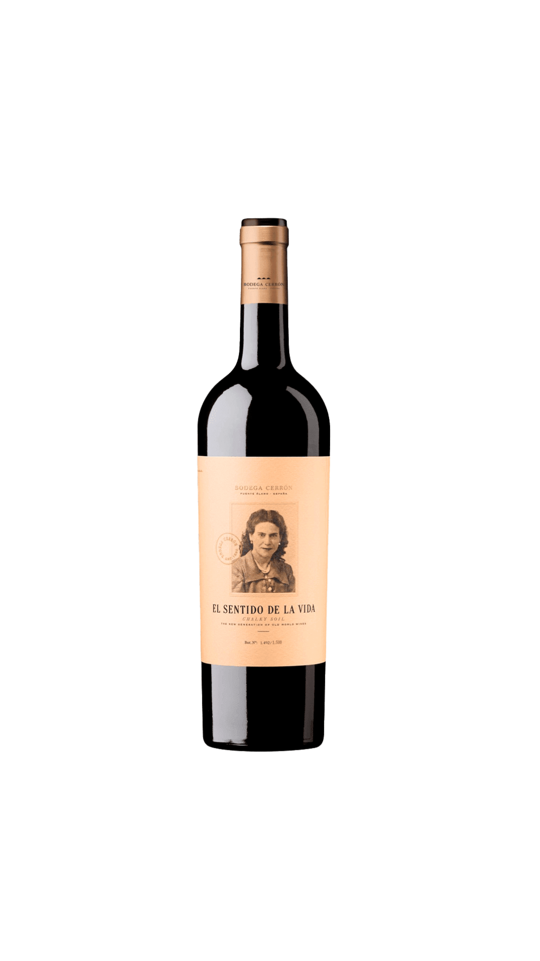 El Sentido de la Vida 2022