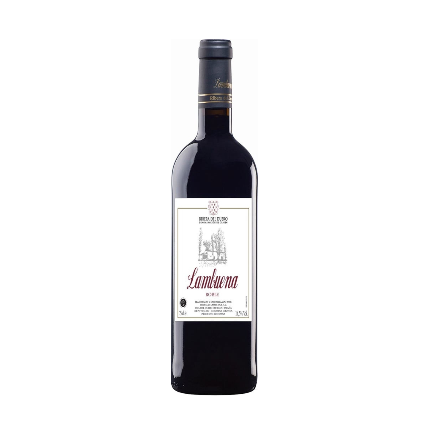 Lambuena roble 2024