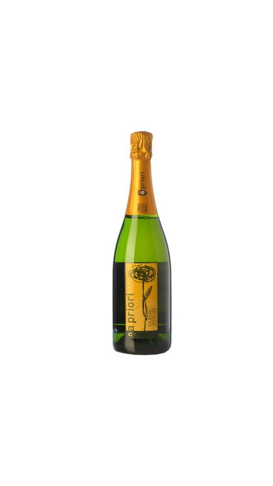 COLET A PRIORI BRUT